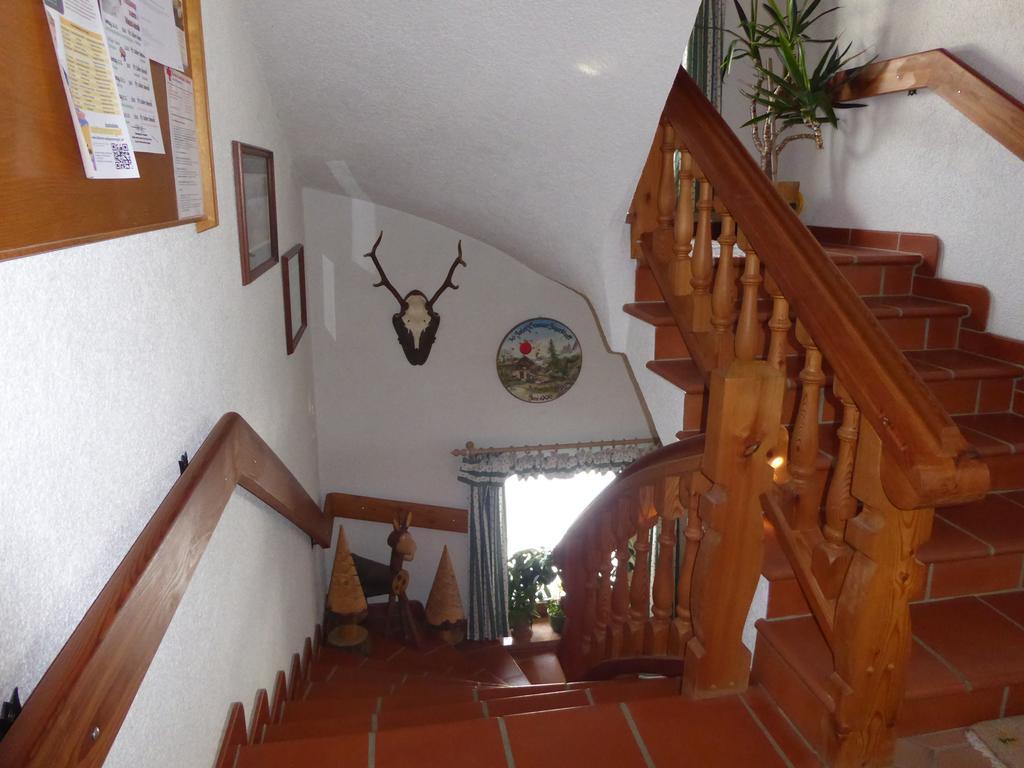 Ferienwohnung Vierthaler غوساو المظهر الخارجي الصورة